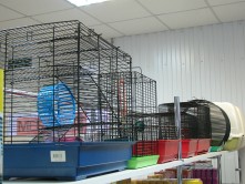 Корма и аксессуары для животных в Толочине